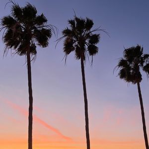 Meet your Posher, Selby